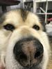amybear1101's profile picture