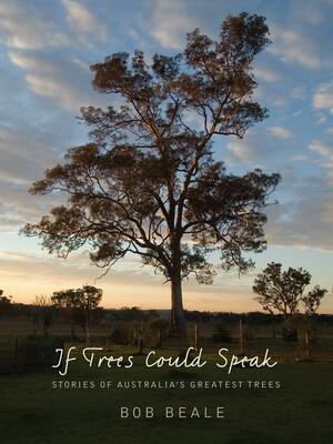If Trees Could Speak: Stories Of Australia's Greatest Trees by Bob Beale