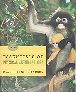 Essentials of Physical Anthropology: Discovering Our Origins by Clark Spencer Larsen