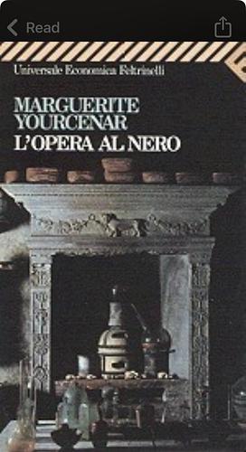 L'opera al nero by Marguerite Yourcenar