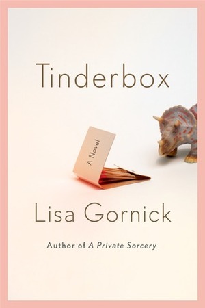 Tinderbox by Lisa Gornick