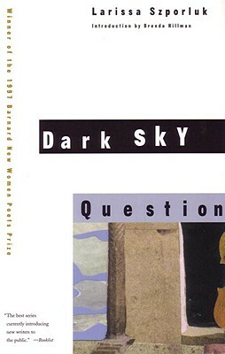 Dark Sky Question by Larissa Szporluk