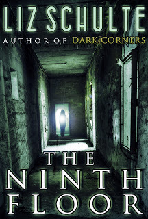 The Ninth Floor by Liz Schulte