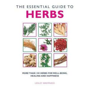 Essential Guide to Herbs by Lesley Bremness