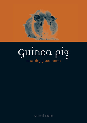 Guinea Pig by Dorothy Yamamoto