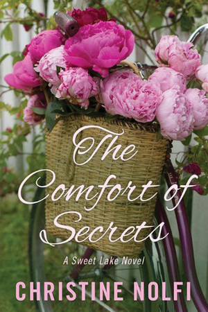 The Comfort of Secrets by Christine Nolfi