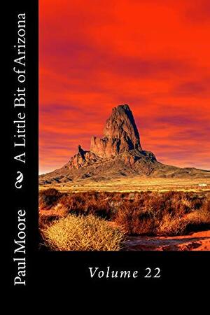 A Little Bit of Arizona: Volume 22 by Paul Moore