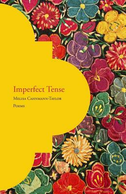 Imperfect Tense by Melisa Cahnmann-Taylor