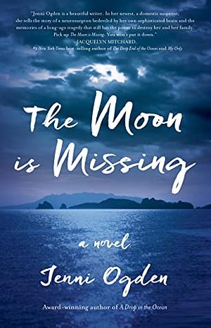 The Moon is Missing by Jenni Ogden