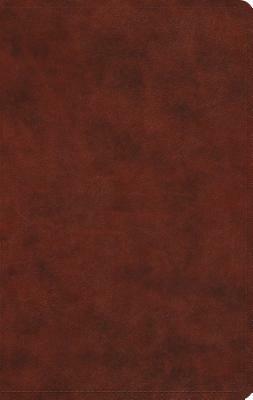 Large Print Value Thinline Bible-ESV by 