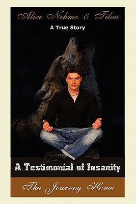 A Testimonial of Insanity by Alice Nehme