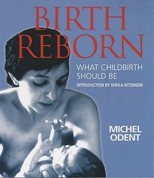 Birth Reborn: What Childbirth Should Be by Michel Odent