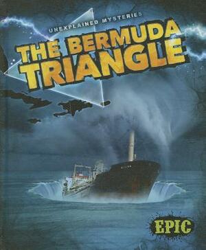 The Bermuda Triangle by Ray McClellan