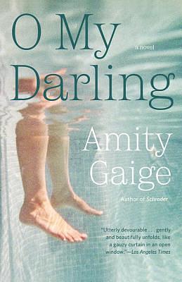 O My Darling by Amity Gaige