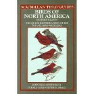 Birds of North America: A Quick Identification Guide to Common Birds by Gerald Gold, John L. Bull, Edith Bull