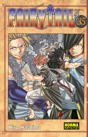 FAIRY TAIL 35 by Hiro Mashima