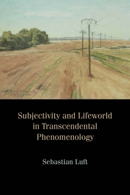 Subjectivity and Lifeworld in Transcendental Phenomenology by Sebastian Luft