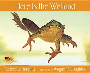 Here Is the Wetland by Madeleine Dunphy