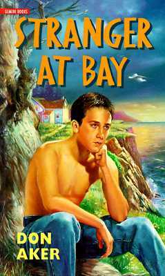 Stranger at Bay by Don Aker