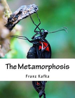 The Metamorphosis by Franz Kafka