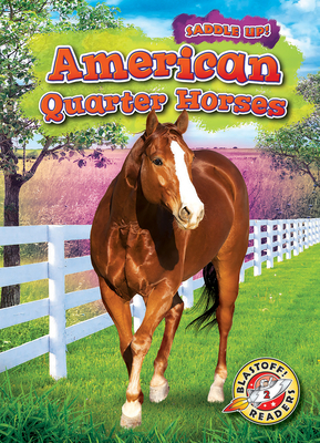 American Quarter Horses by Rachel Grack