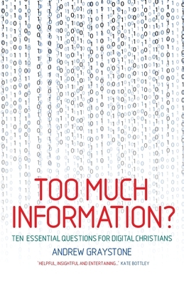 Too Much Information?: Ten Essential Questions for Digital Christians by Andrew Graystone