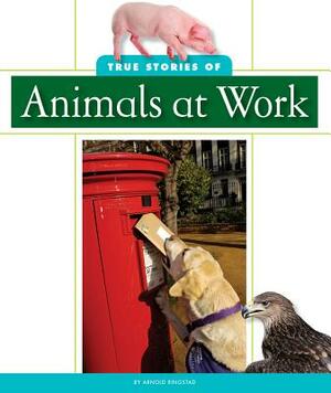 True Stories of Animals at Work by Arnold Ringstad