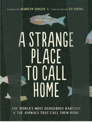 A Strange Place to Call Home: The World's Most Dangerous Habitatsthe Animals That Call Them Home by Marilyn Singer