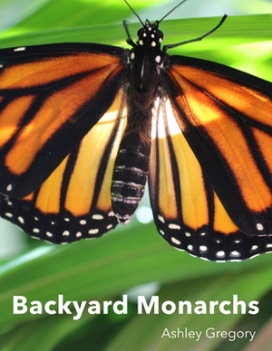 Backyard Monarchs by Ashley Gregory