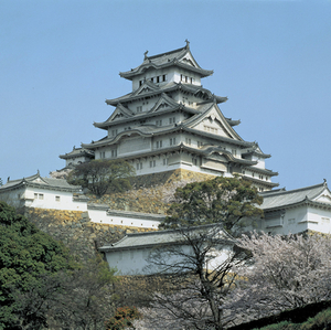 Himeji Castle by Irmtraud Schaarschmidt-Richter