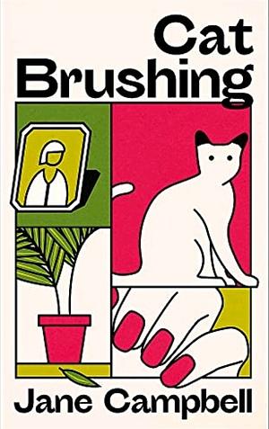 Cat Brushing: A Dazzling Short Story Collection about Thirteen Older Women by Jane Campbell