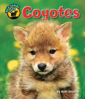 Coyotes by Ruth Strother