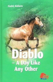 Diablo: A Day Like Any Other by Gabi Adam