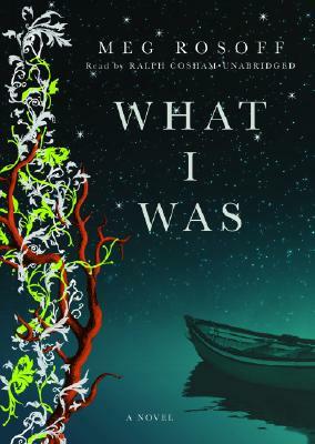 What I Was by Meg Rosoff