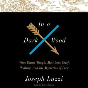 In a Dark Wood: What Dante Taught Me about Grief, Healing, and the Mysteries of Love by Joseph Luzzi