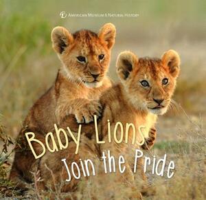 Baby Lions Join the Pride by American Museum of Natural History