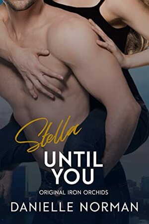 Stella, Until You by Danielle Norman