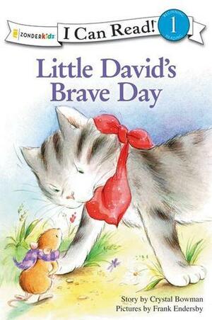 Little David's Brave Day: Level 1 by Frank Endersly, Crystal Bowman