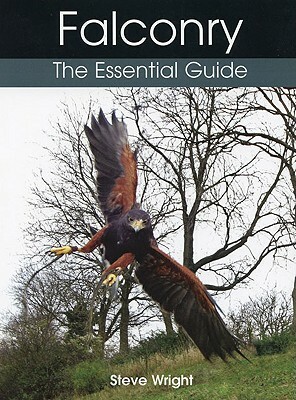 Falconry: The Essential Guide by Steve Wright