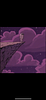 ashrey's profile picture