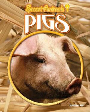 Pigs by Duncan Searl