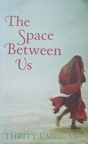 The Space Between Us by Thrity Umrigar