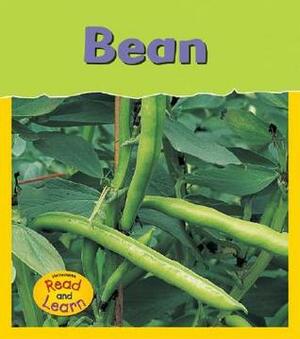 Bean by Louise Spilsbury