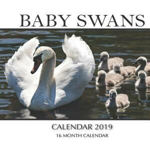 Baby Swans Calendar 2019: 16 Month Calendar by Mason Landon