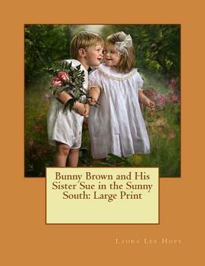 Bunny Brown and His Sister Sue in the Sunny South: Large Print by Laura Lee Hope