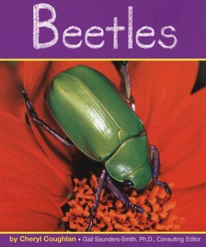 Beetles by Cheryl Coughlan