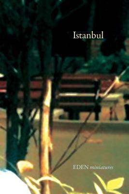 Istanbul by Frei