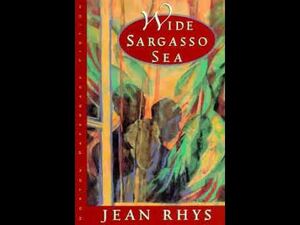 Wide Sargasso Sea by Jean Rhys