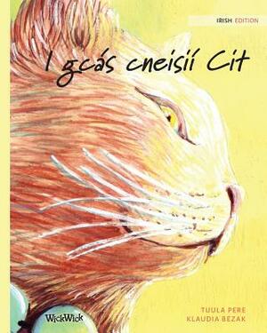 I gcás cneisií Cit: Irish Edition of The Healer Cat by Tuula Pere