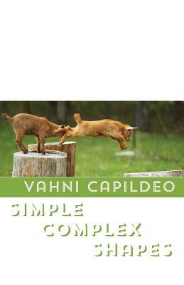 Simple Complex Shapes by Vahni Capildeo